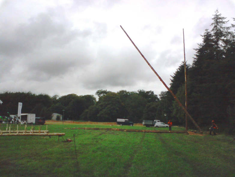 timber-r48