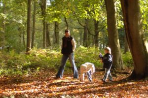 1051249 lady and two children autumn walk