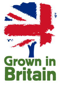 Grown in Britain tree