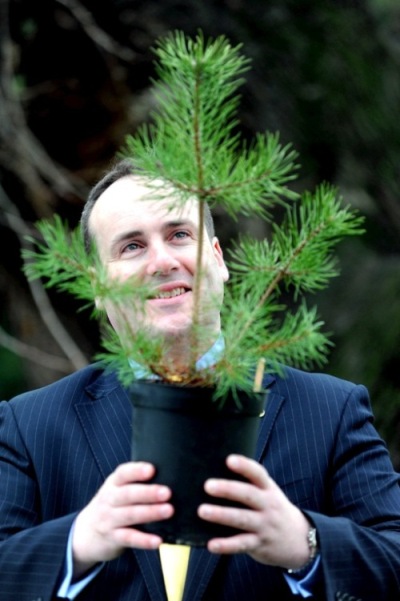 Paul Wheelhouse MSP Scots Pine Small
