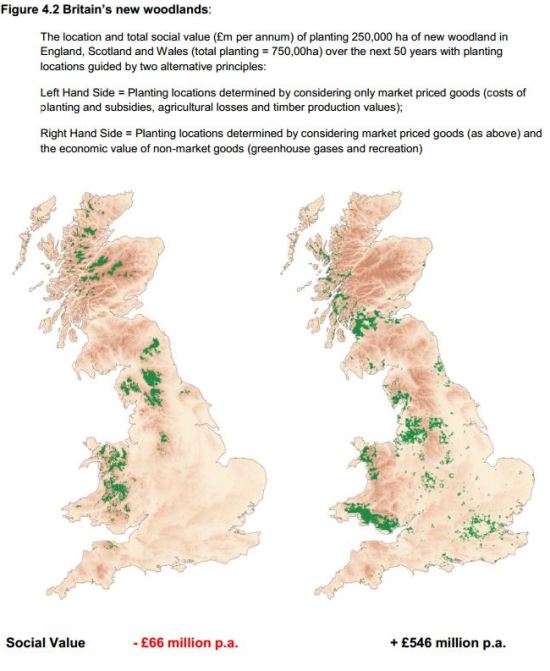 NCC 2nd report - cost benefit of planting
