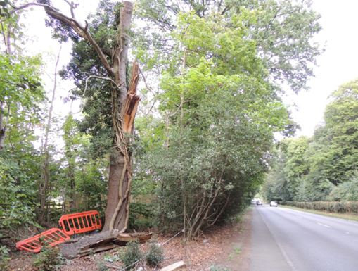 AA bracknell