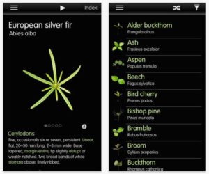 Forest Seedlings App