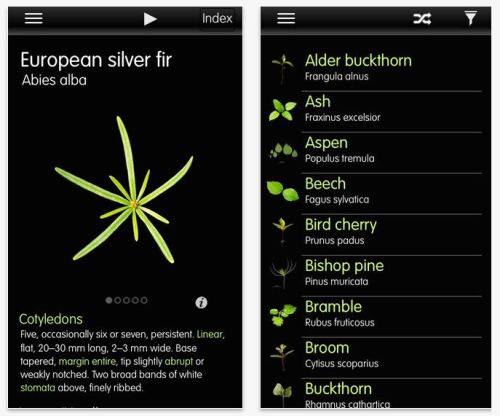 Forest Seedlings App