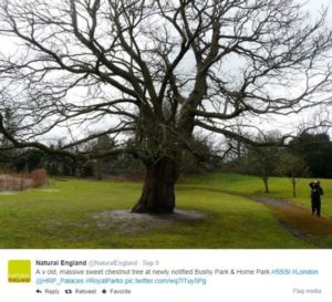 Natural England Tweet