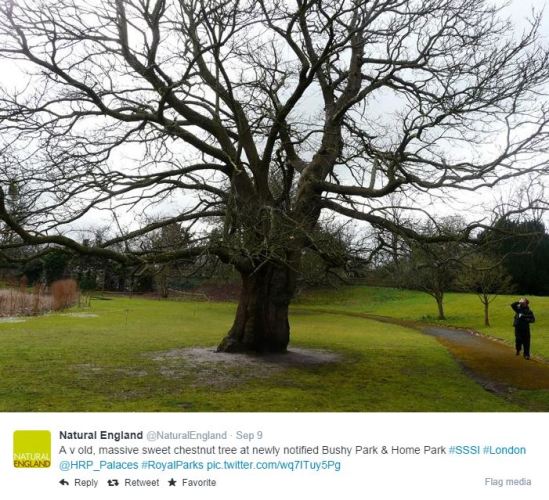 Natural England Tweet