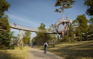 westonbirt-treetop-walkway-artists-impression