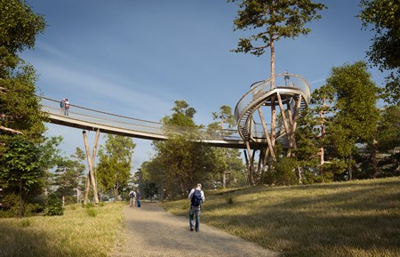 westonbirt-treetop-walkway-artists-impression