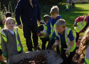 One Tree Per Child 1