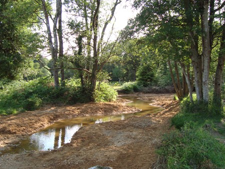EU LIFE funded river 450