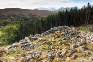 fcs forests