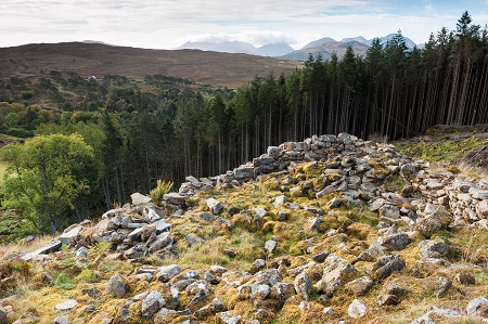 fcs forests