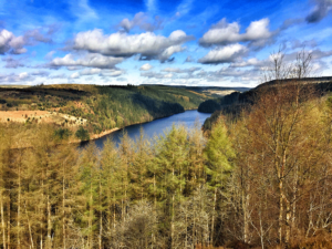 Institute of Chartered Foresters | 2017 Wales Summer Field Trip