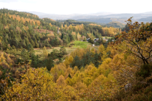 Wales Autumn