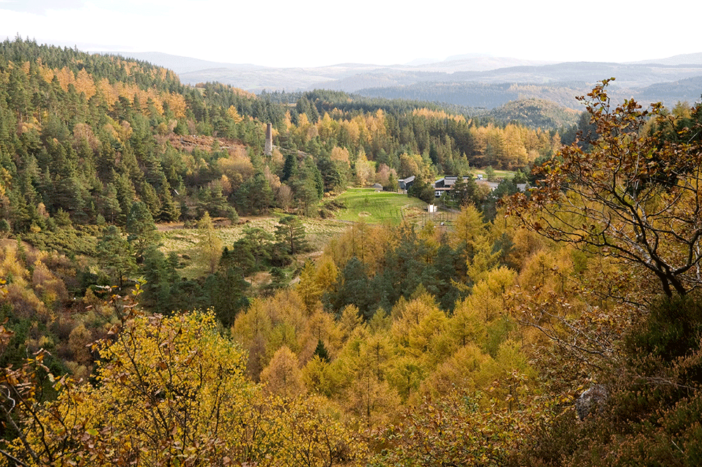 Wales Autumn