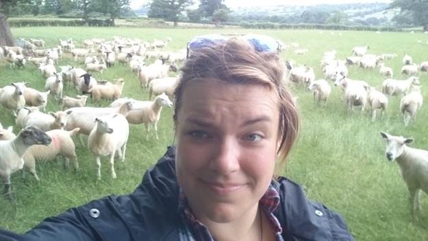 Women and Sheep