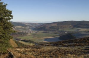 Tweed Valley