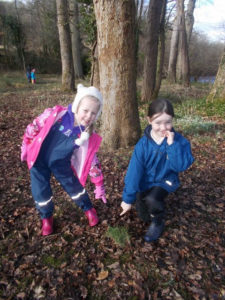 children ,learning, forest school