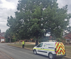 Tree-Surveying