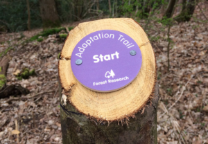 Forest Research and Forestry England Trail Climate Change.