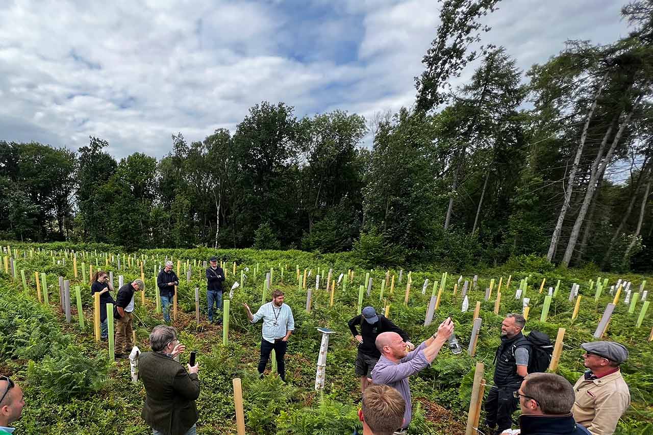 North England - Silviculture vs Tree Shelters 2023