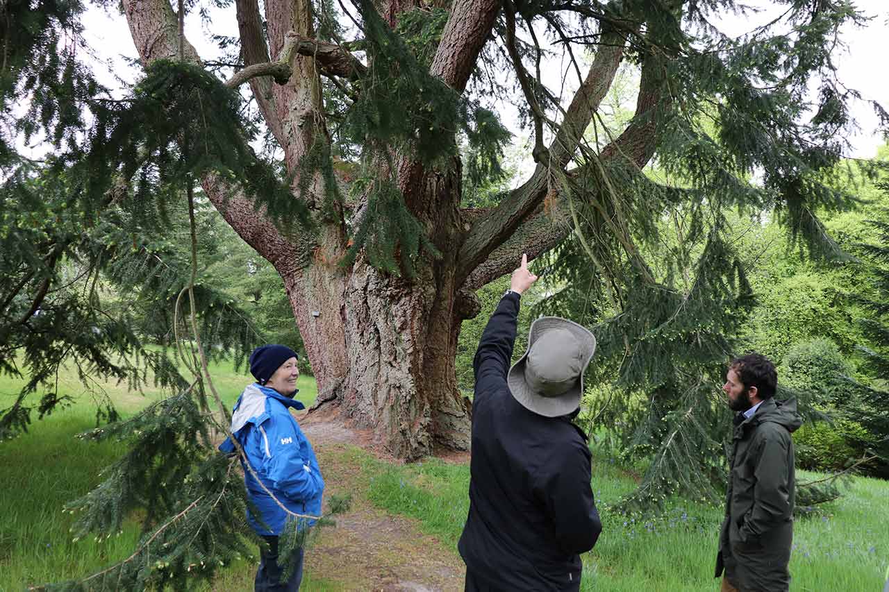 South Scotland - History of Dawyck Botanic Garden 2022