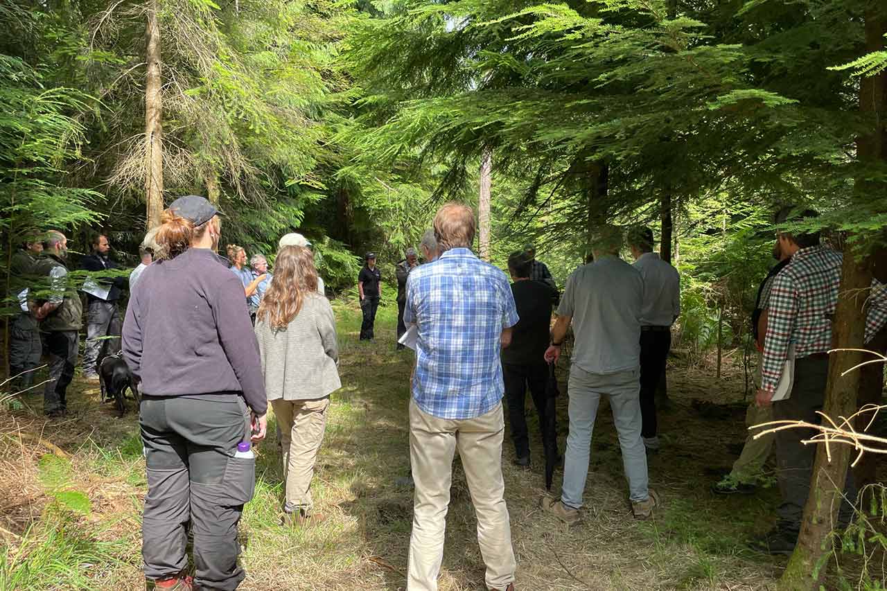 South West England - Back out in the Woods 2021