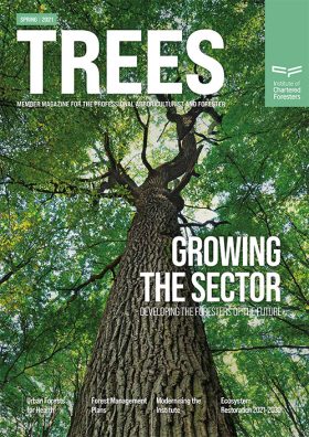 Trees_Spring21_web